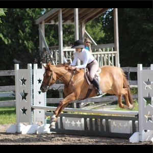 Meet your Posher, Rachael